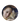 Фрилансер Елена